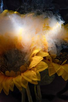 01-11-bente-philipsen-p3b-submerged