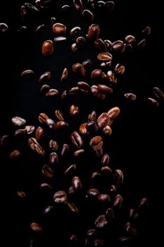 02-11-bente-philipsen-beans