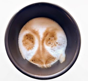 02-11-john-perry-loeb