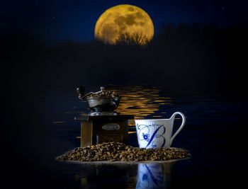 02-11-søren-gülck-nattens-bønner