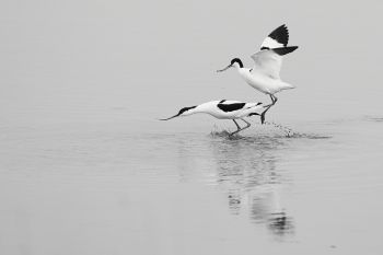 04-04-jan-klinksgaard-en-dag-i-marsken