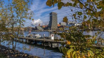 04-11-Søren-Gylck-En-dag-i-efteråret