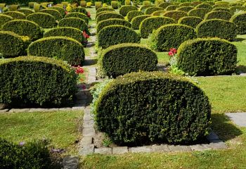 04-11-lisbeth-joehnk-en-dag-i-raekken